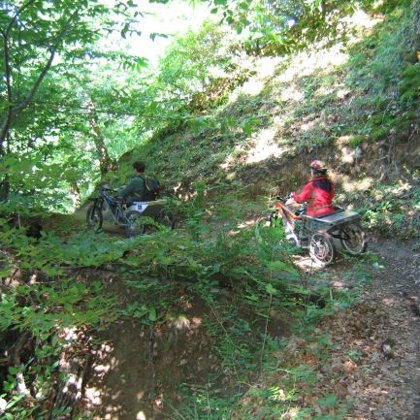 Frange Verte Bresson-près de Grenoble